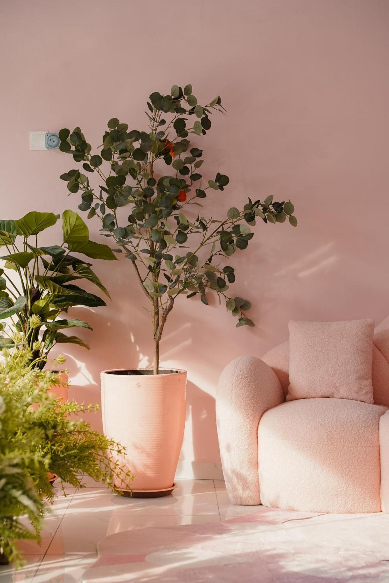 Pink Cabana Hotel Джорджтаун Экстерьер фото